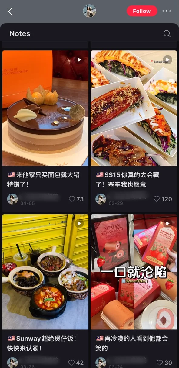 Xiaohongshu KOL account (food and beverage reviews): a grid of four posts from the creator, with the account handle masked