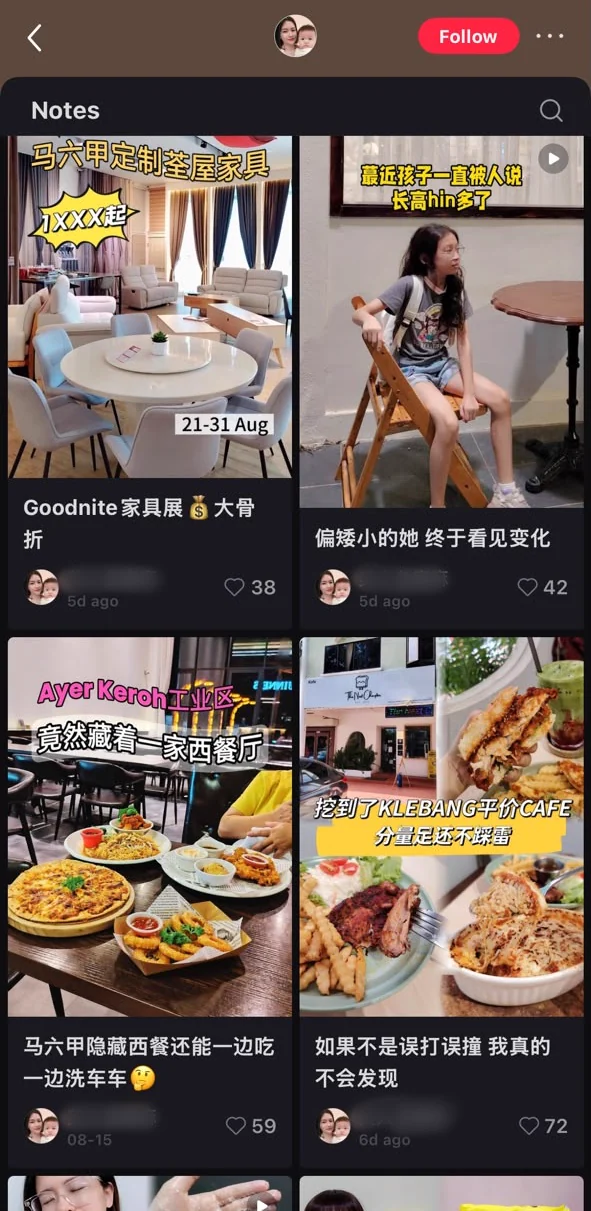 Xiaohongshu KOL account (home, family and lifestyle): a grid of four posts from the creator, with the account handle masked
